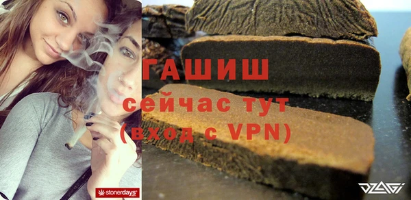 молекула духа Бородино