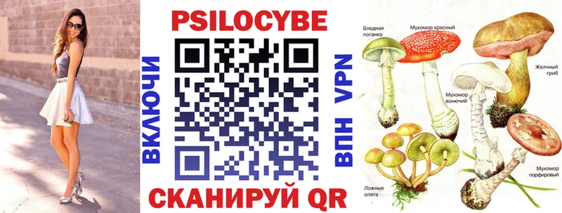 Псилоцибиновые грибы Cubensis  Купить закладки  Ярцево 